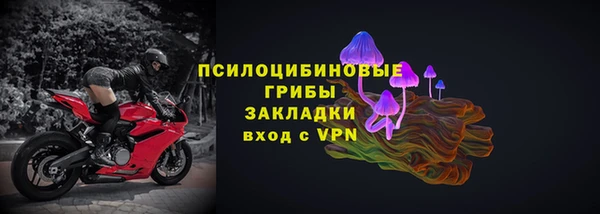 стафф Алексин