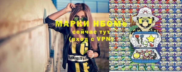 стафф Алексин