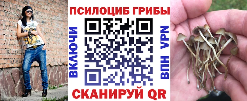 Псилоцибиновые грибы прущие грибы Кольчугино
