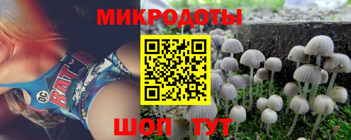 Кольчугино  Галлюциногенные грибы прущие грибы  Вход с VPN  Псилоцибиновые грибы Psilocybine cubensis 