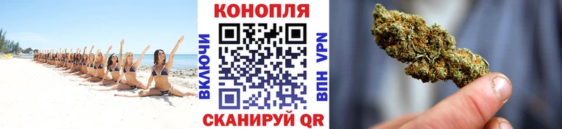 Бошки Шишки Ganja  кракен вход  Кольчугино 